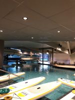 SUP Yoga